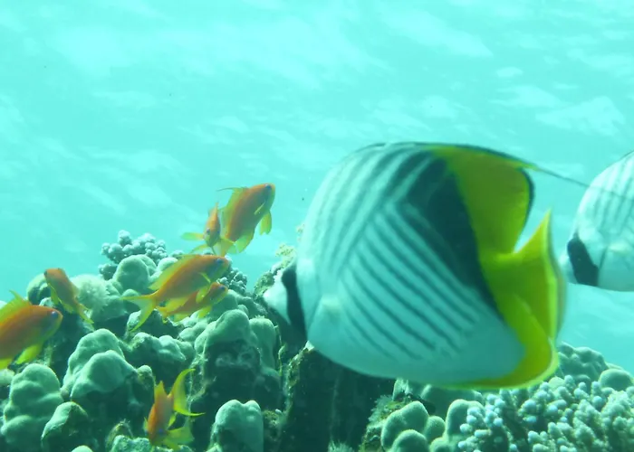Kemping Galuma Magbul Camp Dahab